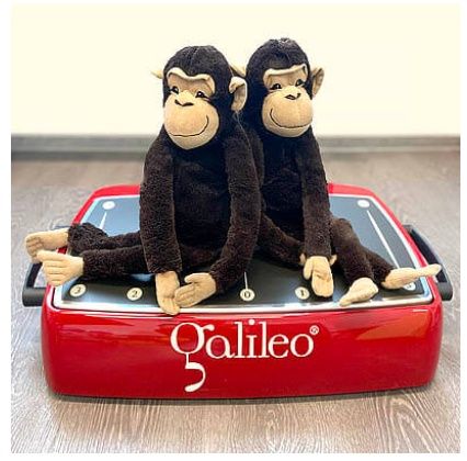 Виброплатформа Galileo