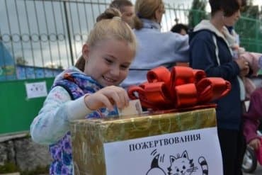 Добровольные пожертвования