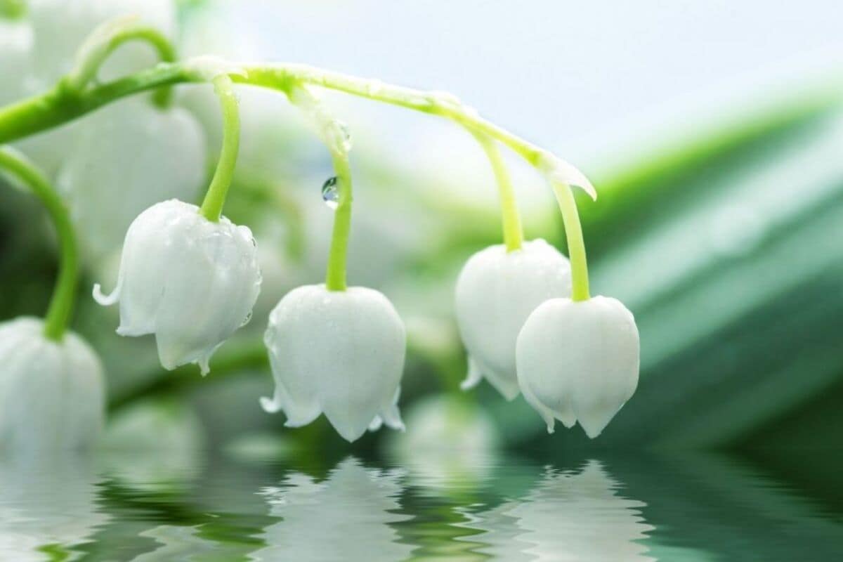 Календарь праздников на март 2022 года