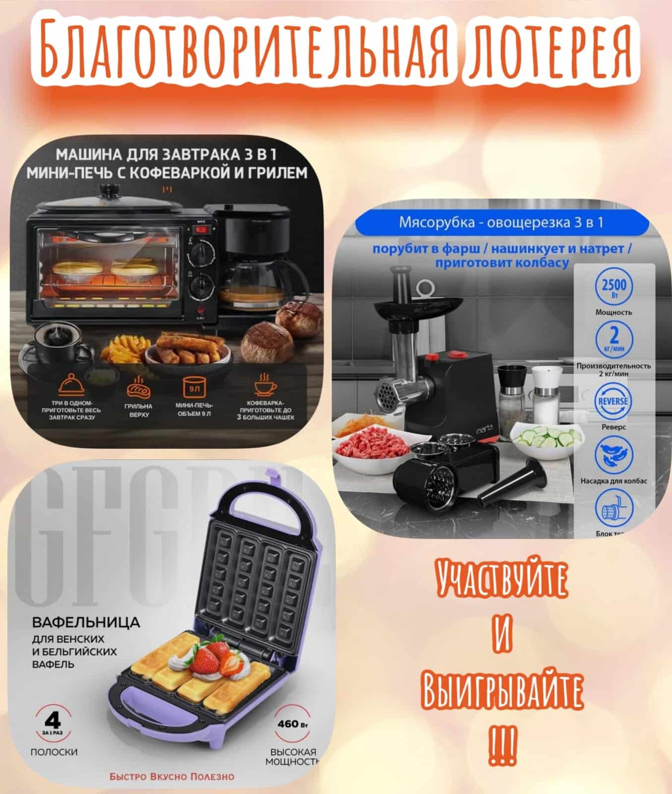 БЛАГОТВОРИТЕЛЬНАЯ ЛОТЕРЕЯ