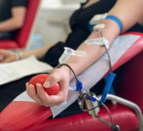 Сдать кровь на донорство