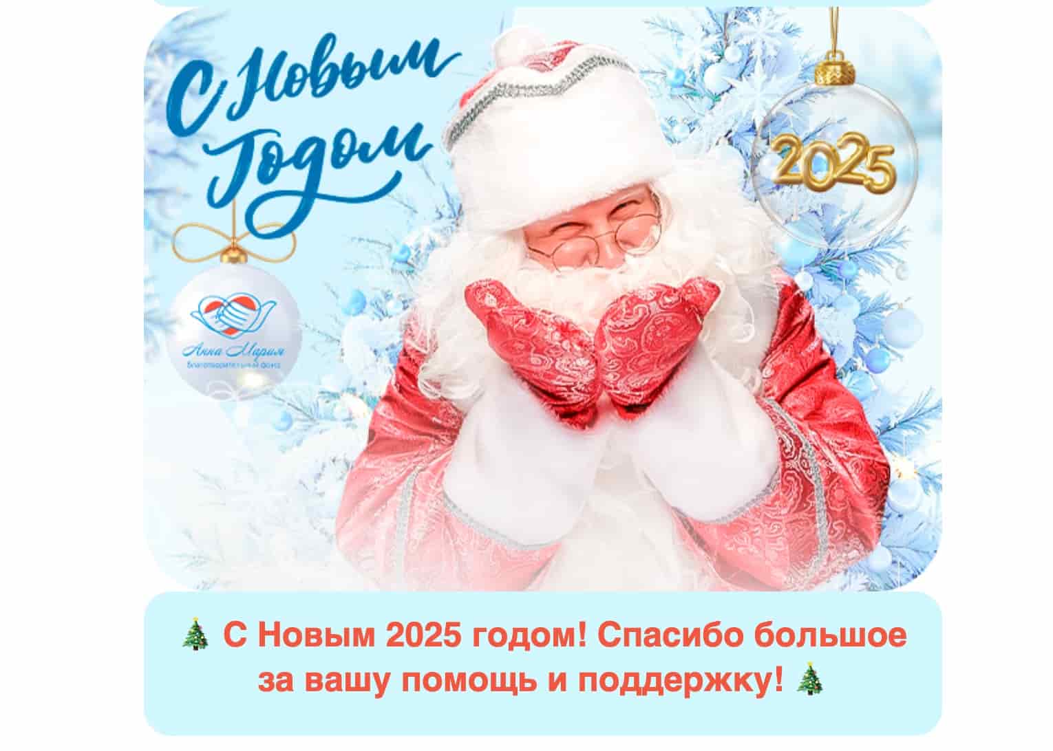 Команда благотворительного фонда «Анна Мария» поздравляет Вас с наступающим Новым годом и благодарит за сотрудничество!