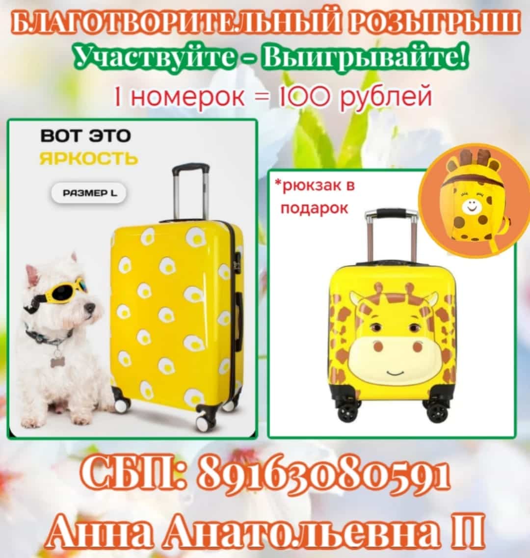 Благотворительный розыгрыш