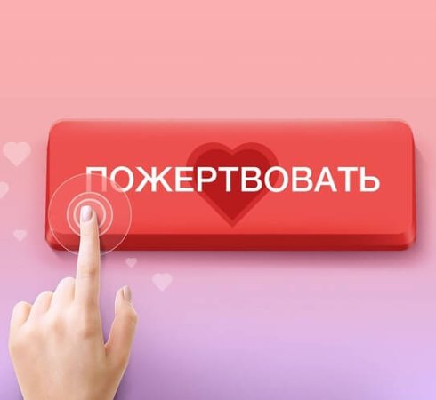Пожертвовать в фонд