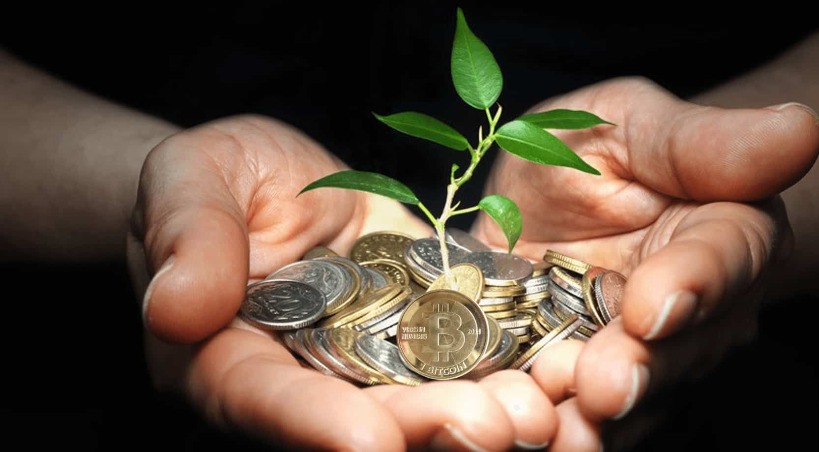 Добровольное пожертвование