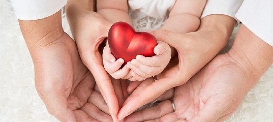 Куда отправить пожертвование