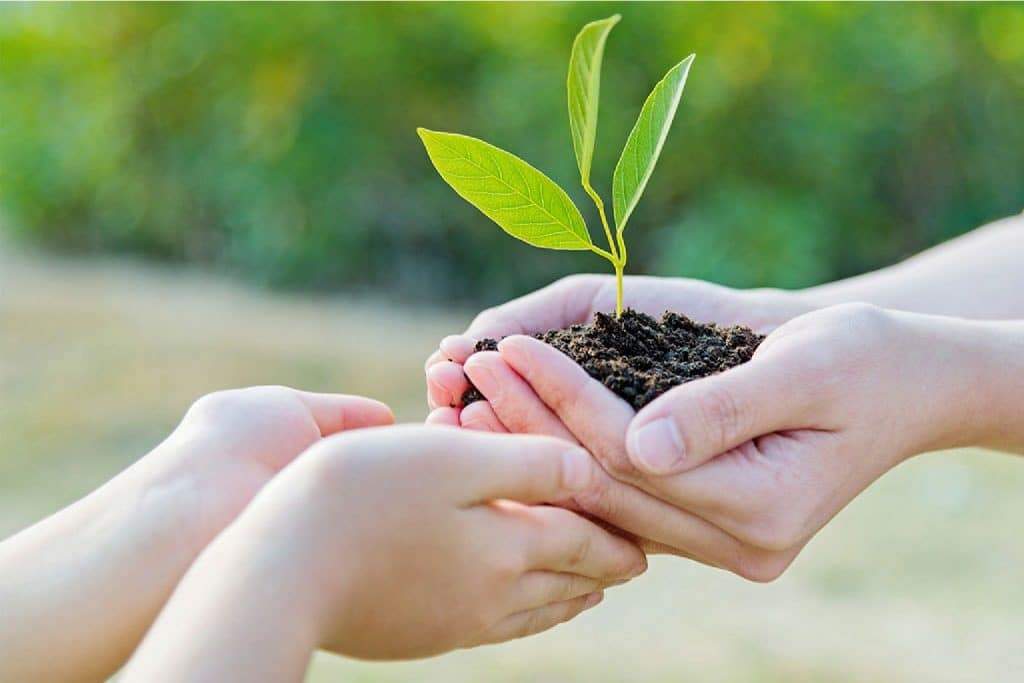 Уровни благотворительности