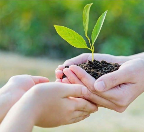 Уровни благотворительности