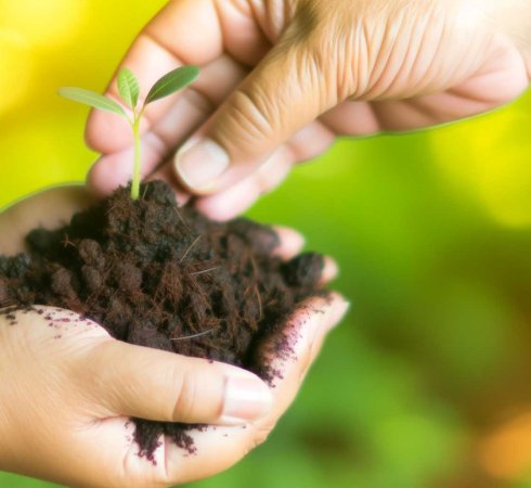 Уровни благотворительности