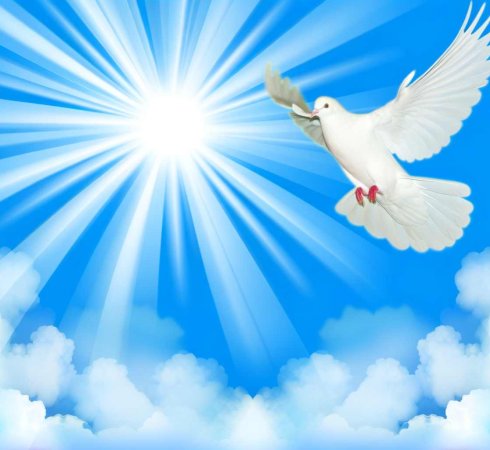 Прощеное воскресение