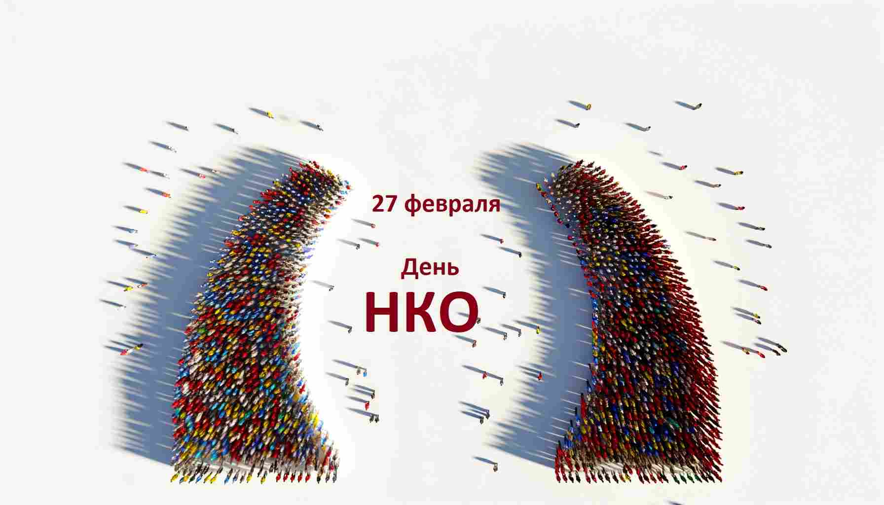 Всемирный день НКО