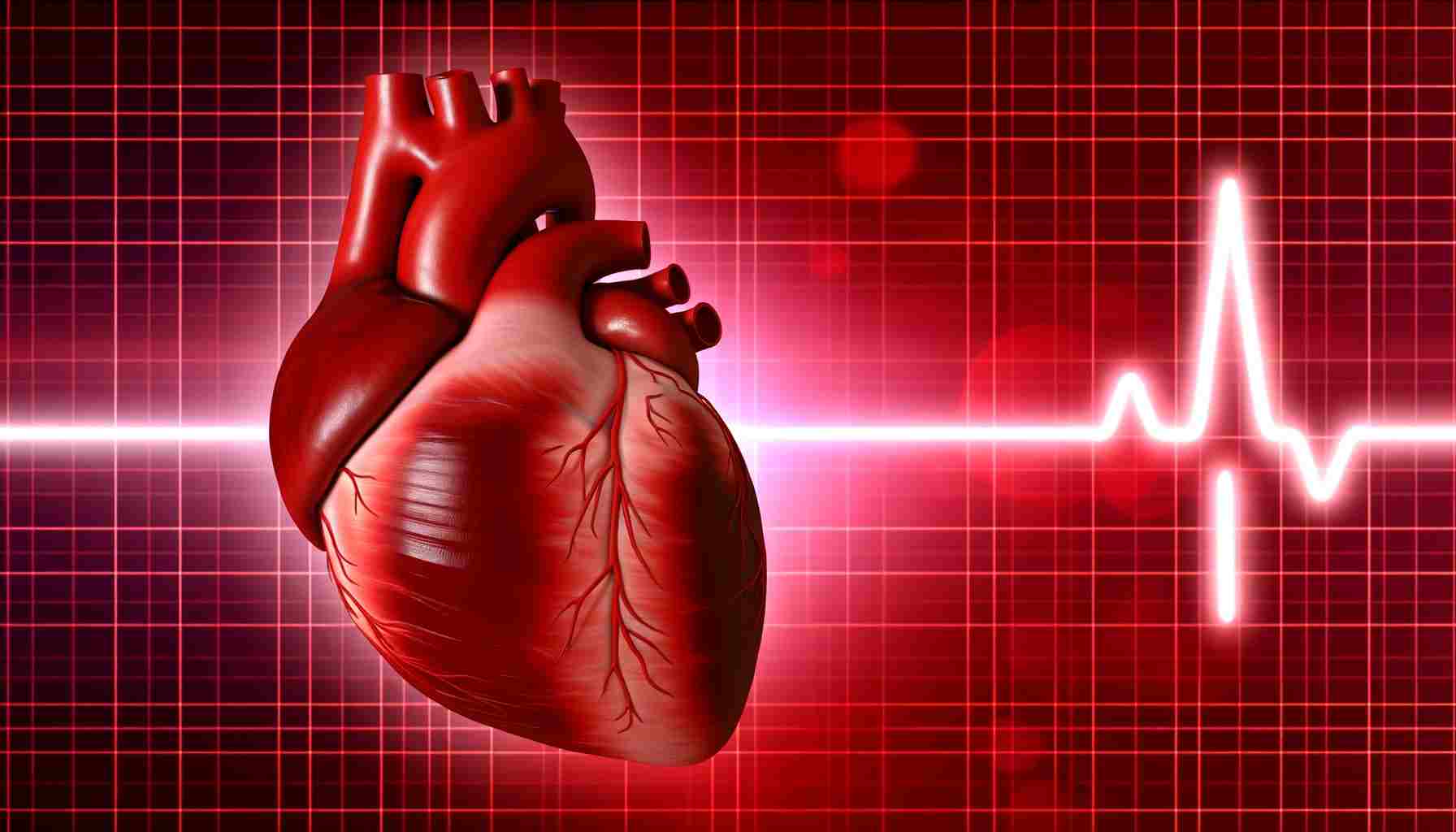 Всемирный день сердца