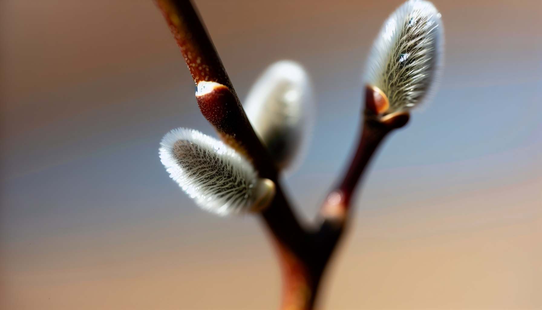 Календарь праздников на апрель 2022