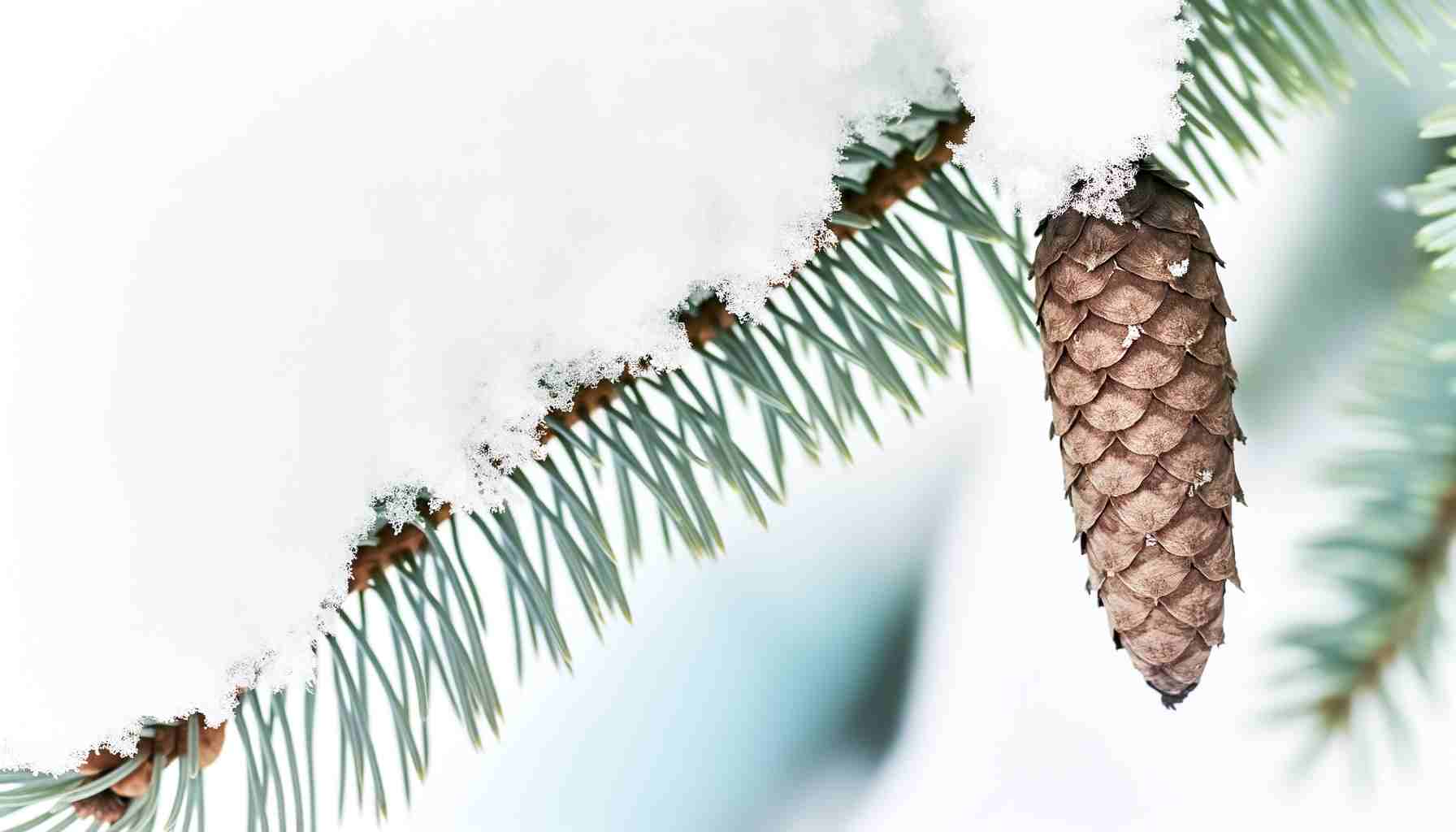 Календарь событий на февраль 2022 года