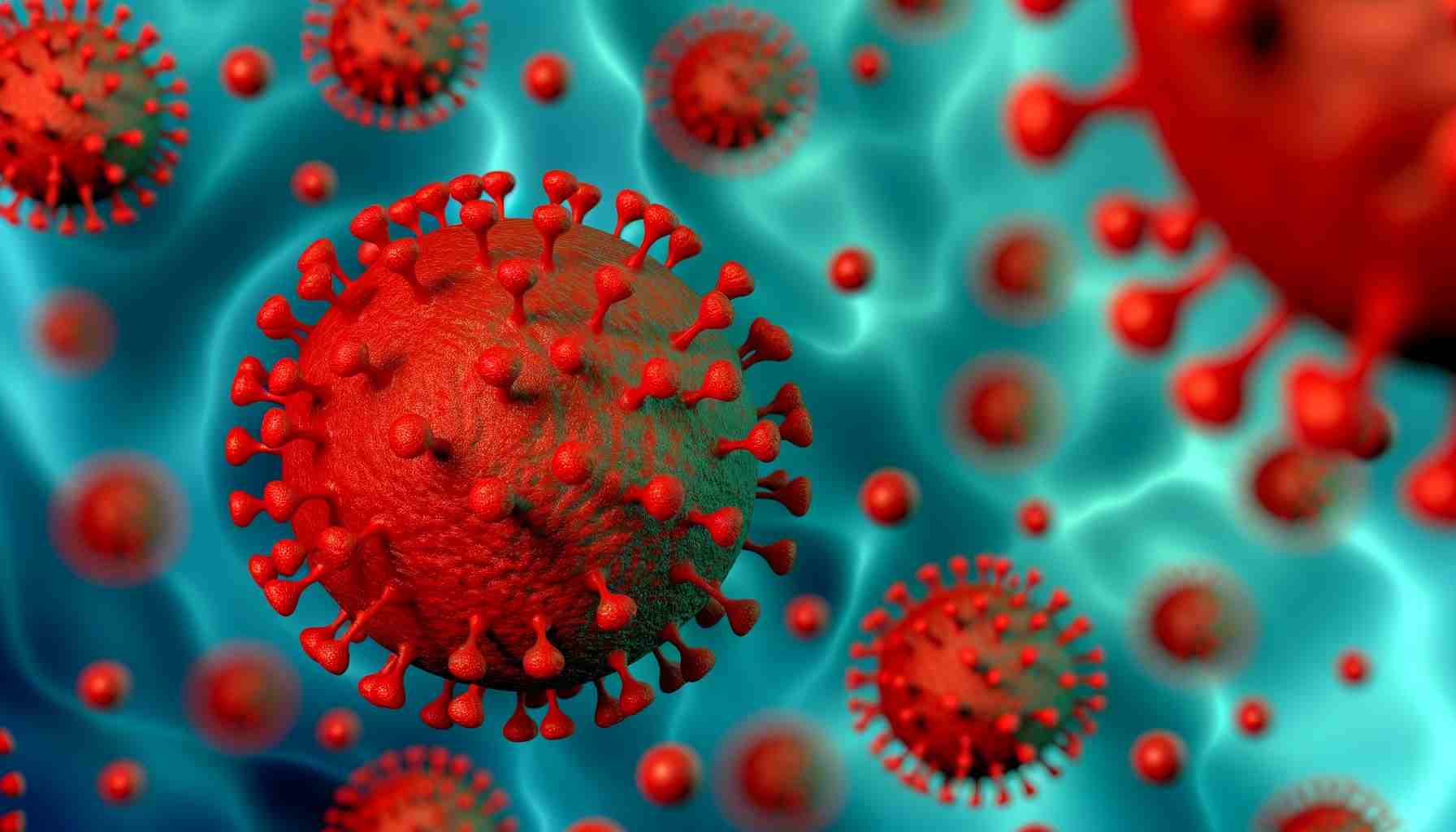 Виды и стадии рака