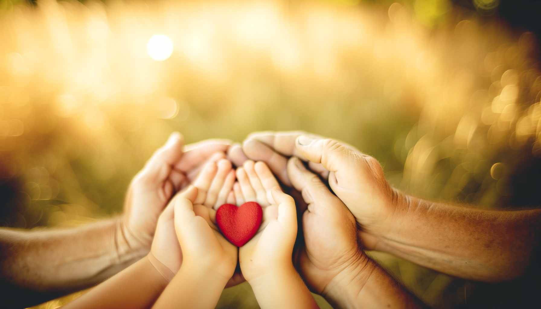  Благотворительность: кому нужна ваша помощь