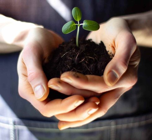 Варианты благотворительности