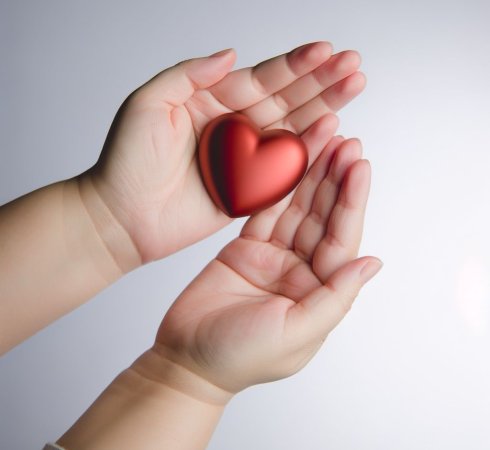 Благотворительность: новости