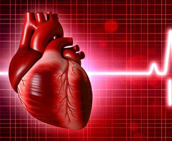 Всемирный день сердца