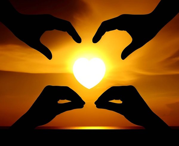 Плюсы и минусы благотворительности