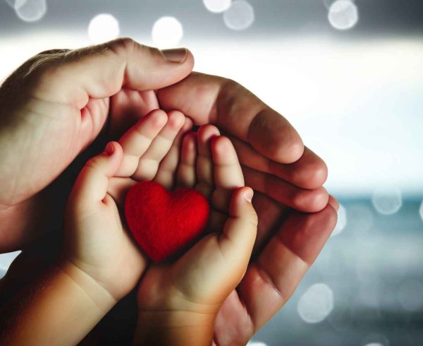 Виды благотворительности