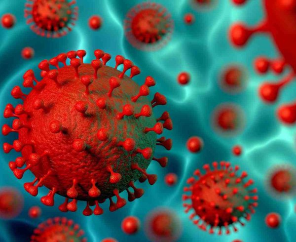 Виды и стадии рака