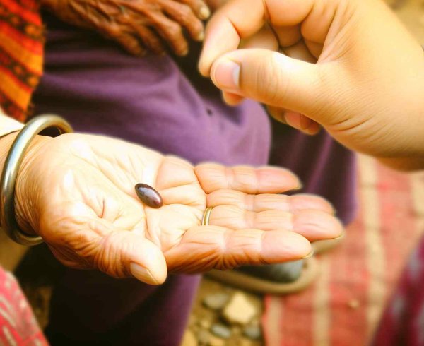  Филантропия. Интересные факты