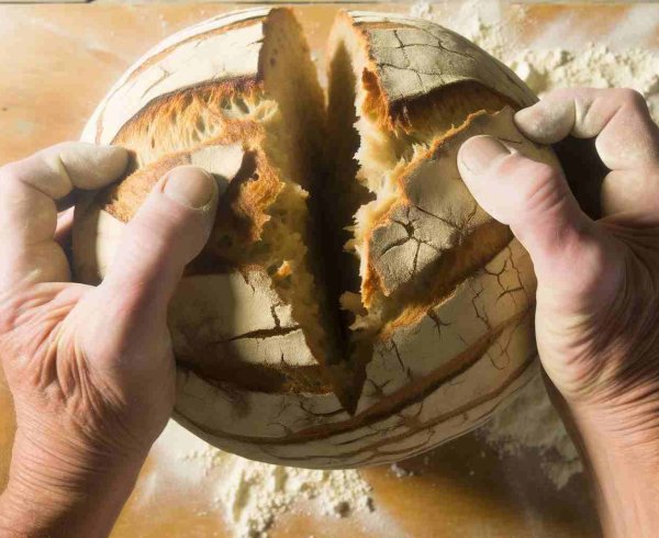  Благотворительность: 5 инструментов для работы