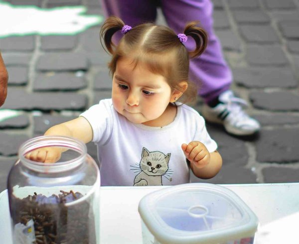  Благотворительность и развлечения: как совместить