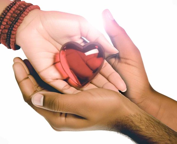  Благотворительность: данные статистики по итогу 2019 года