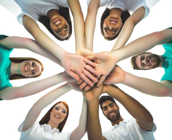 Какие бывают сферы деятельности у волонтеров